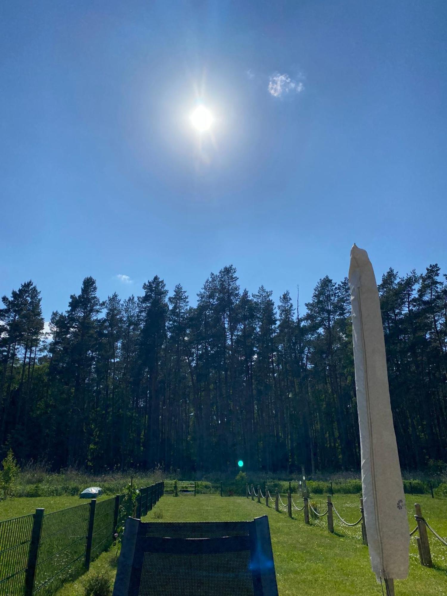 Lieblingsplatz Im Kuestenwald Graal-Mueritz Gelbensande Exterior photo